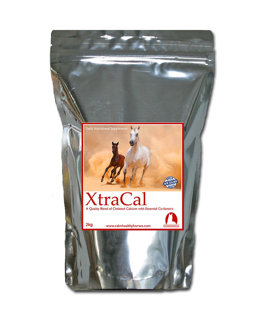 Calm Heathly Horses XtraCal