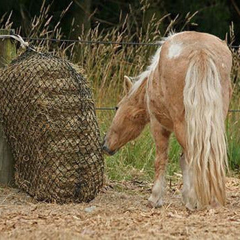 Calm Heathly Horses Hay Savers