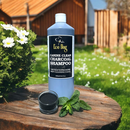 Eco Dog Canine Clean Charcoal Shampoo