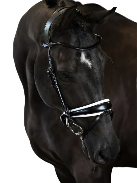 PS of Sweden GP Lacquered Bridle
