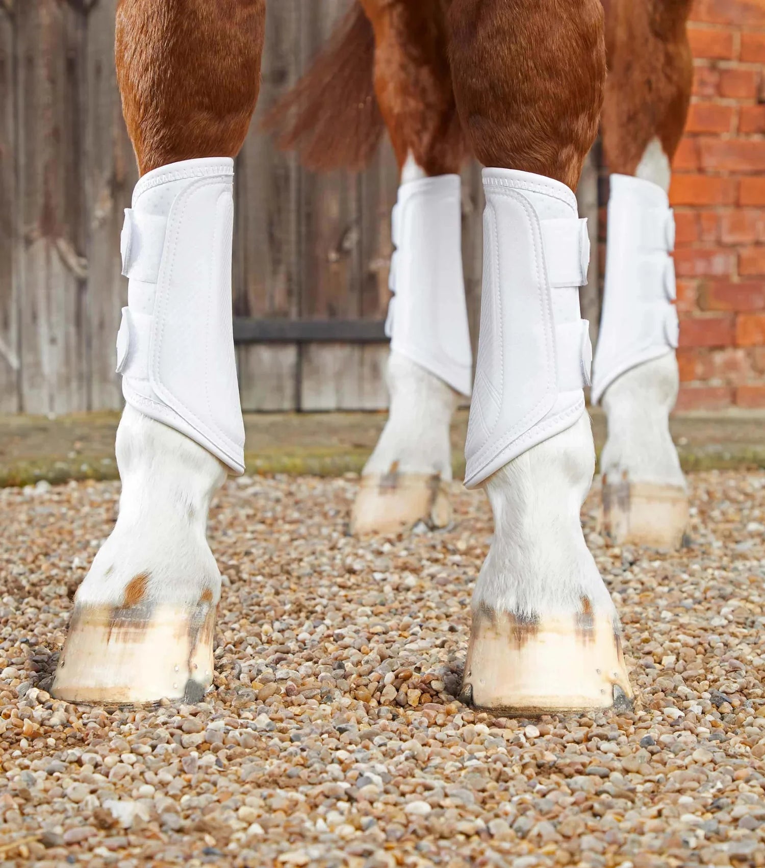 Premier Equine Carbon Air-Tech Double Locking Brushing Boots