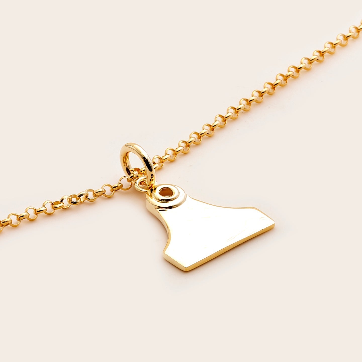 Whistle &amp; Pop Cattle Tag Necklace