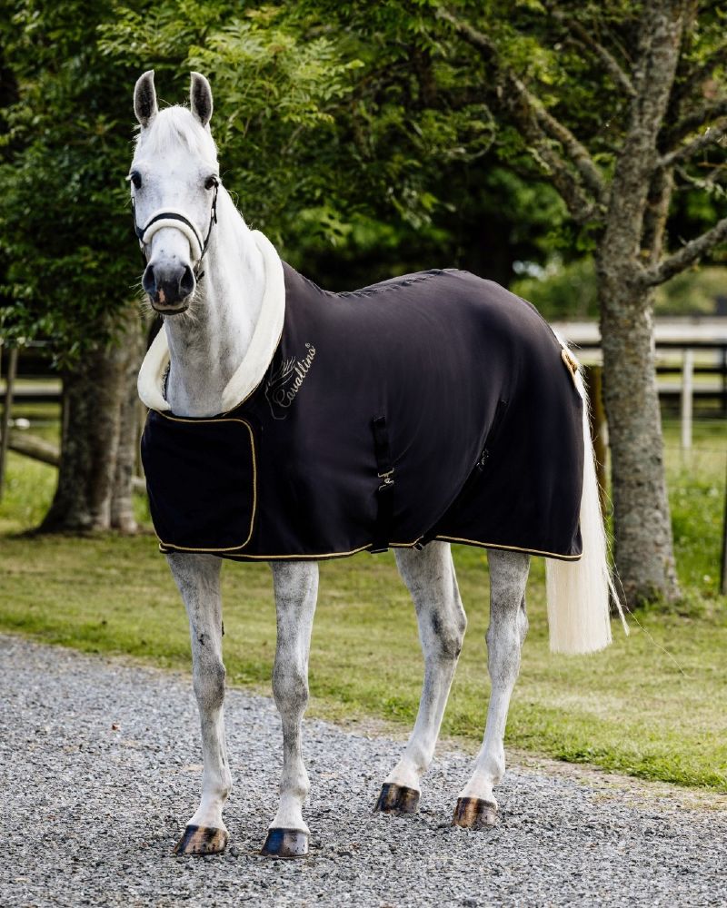 Cavallino Quick Dry Fleece Show Rug