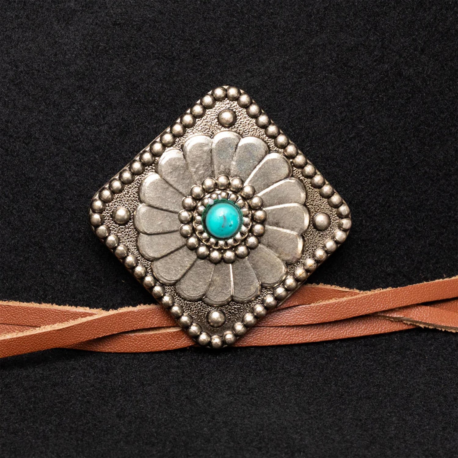 Charlie 1 Horse Lone Butte