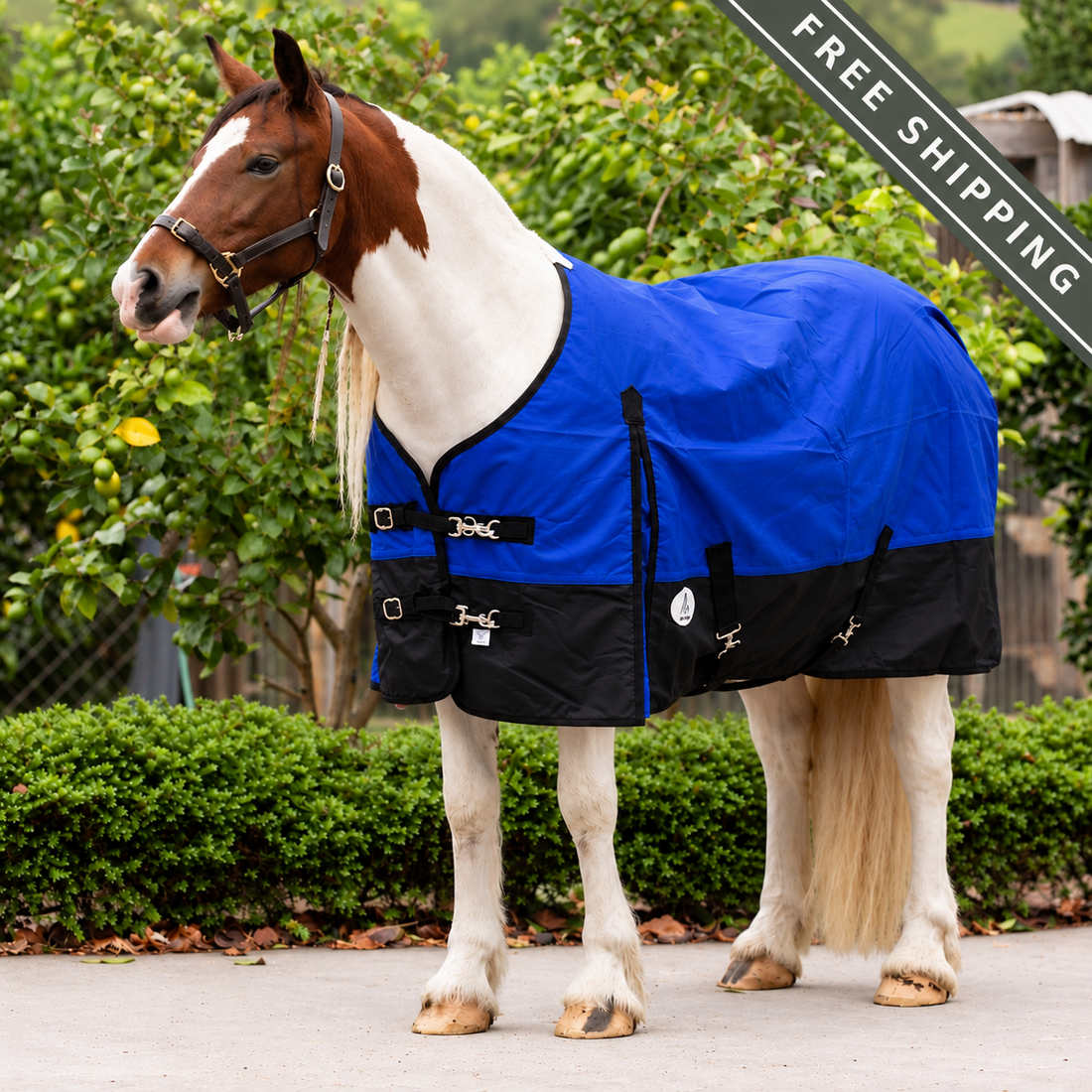 NZ Tack Duke 1200D Standard Neck FREE SHIPPING