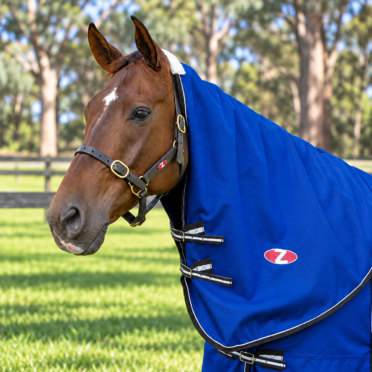 Zilco Garrison 1200d Neck Rug