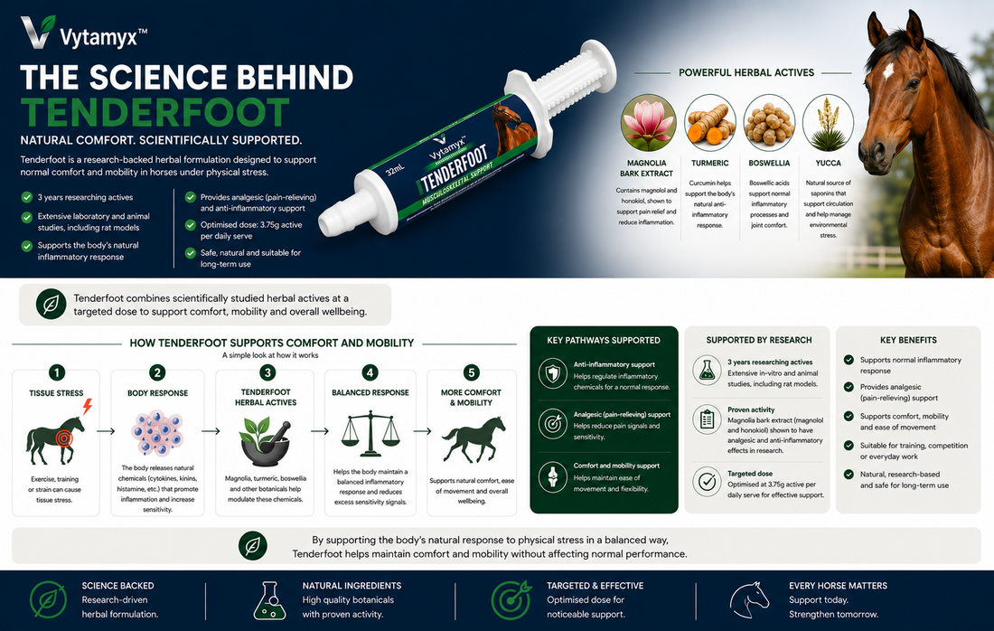 Vytamyx Equine Tenderfoot – the science infographic