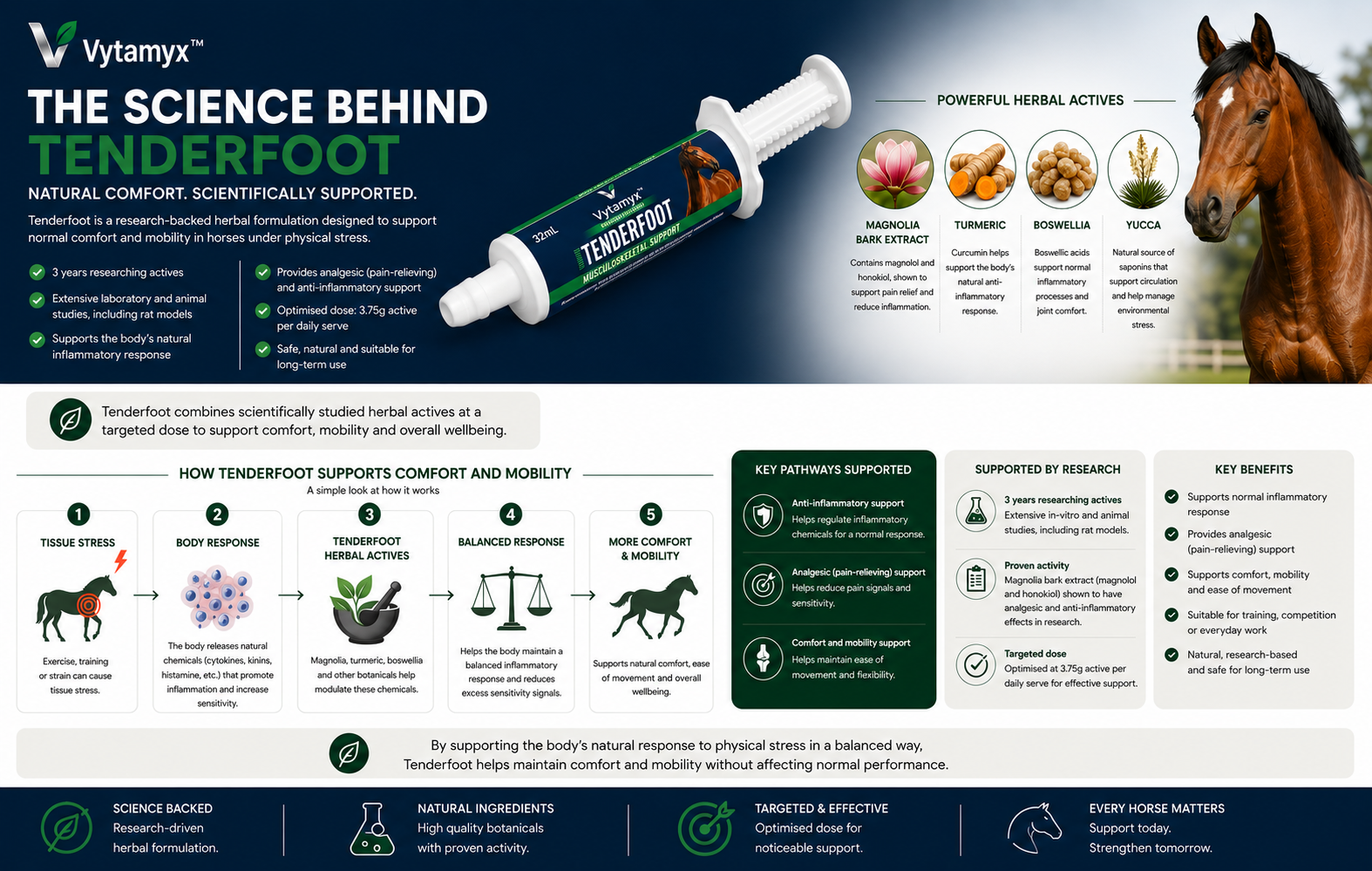 Vytamyx Equine Tenderfoot – the science infographic