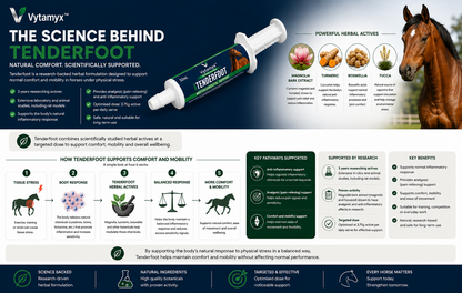 Vytamyx Equine Tenderfoot – the science infographic
