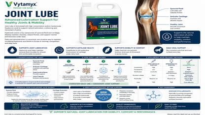 Vytamyx Equine Joint Lube – the science infographic