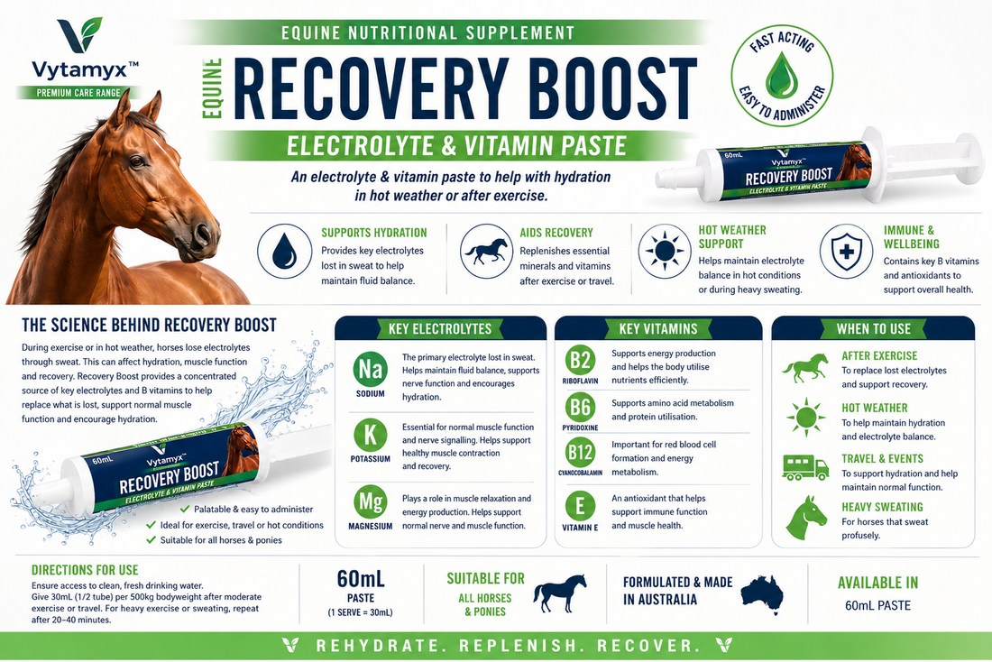 Vytamyx Equine Recovery Boost – the science infographic