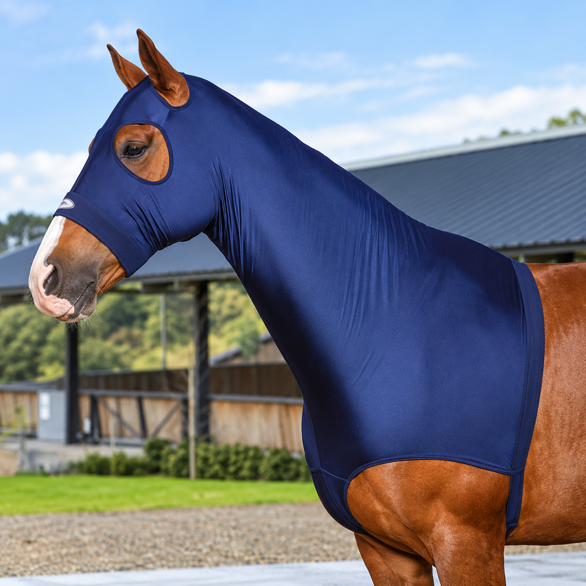 Weatherbeeta Deluxe Stretch Hood