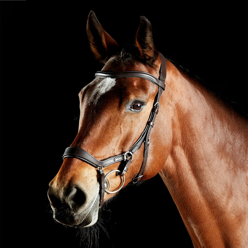 Collegiate Comfitec Daina Bridle