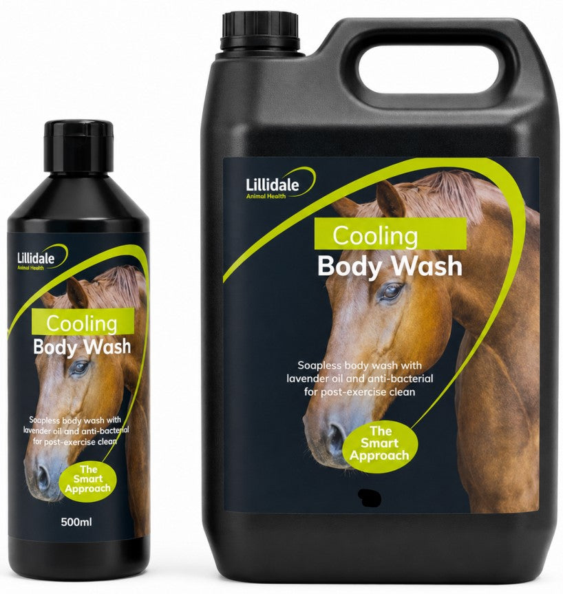Lillidale Cooling Body Wash