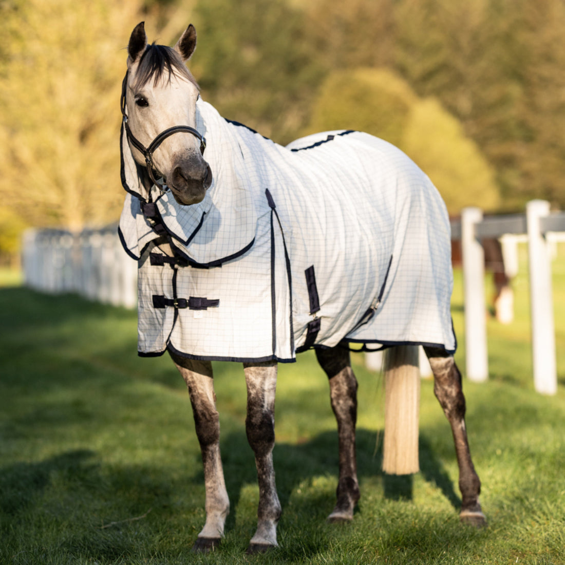 Horse cover sizing chart. Choose the right horse rug size and weight nztack