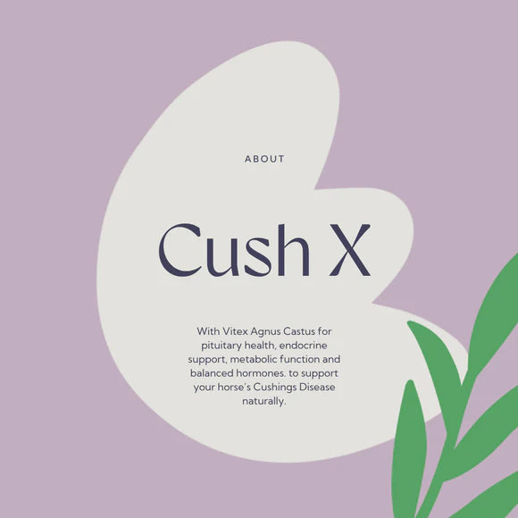 Hilton Herbs Cush X 1kg