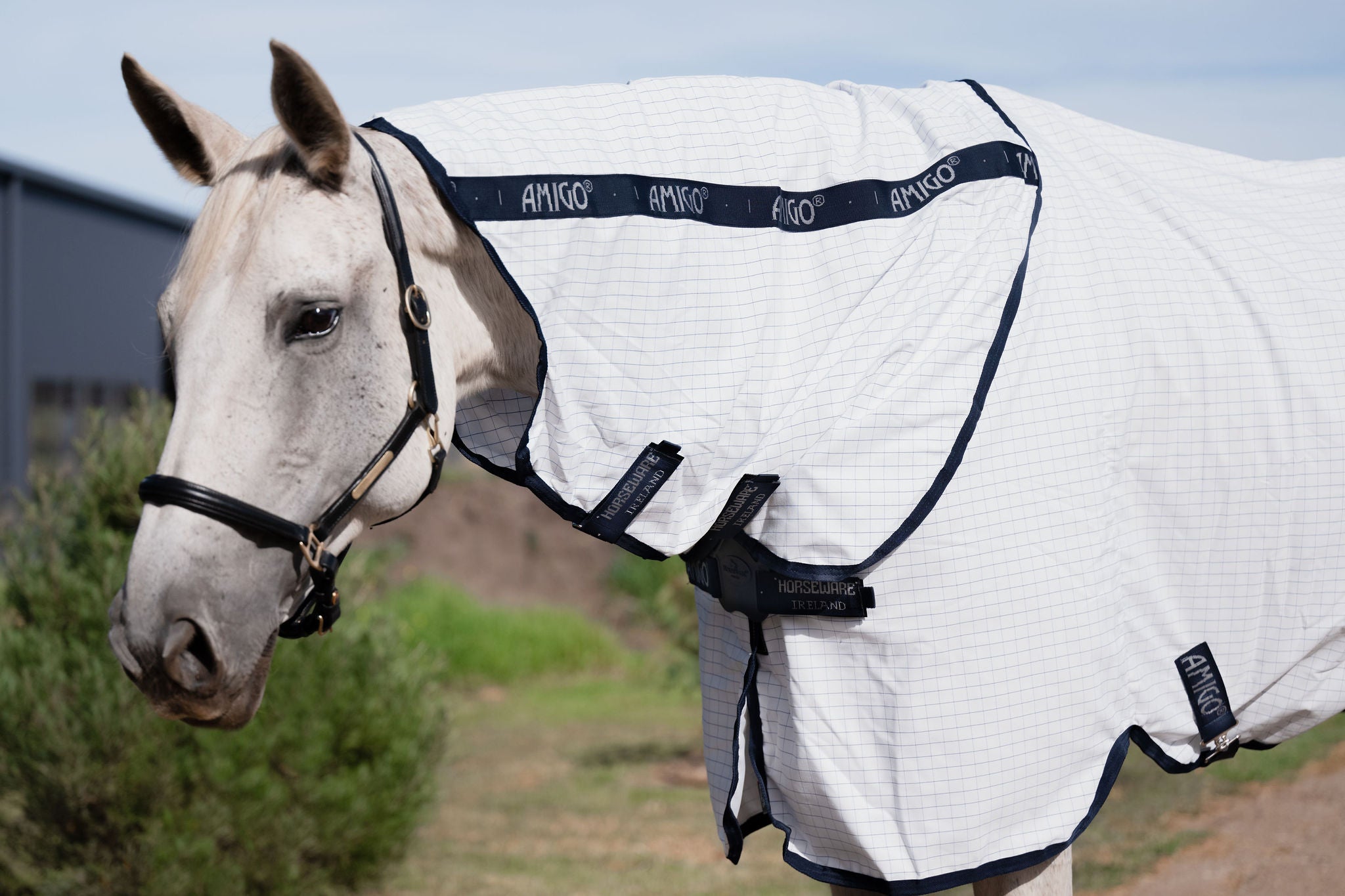 Amigo Helix Allrounder Disc Front Detach-A-Neck