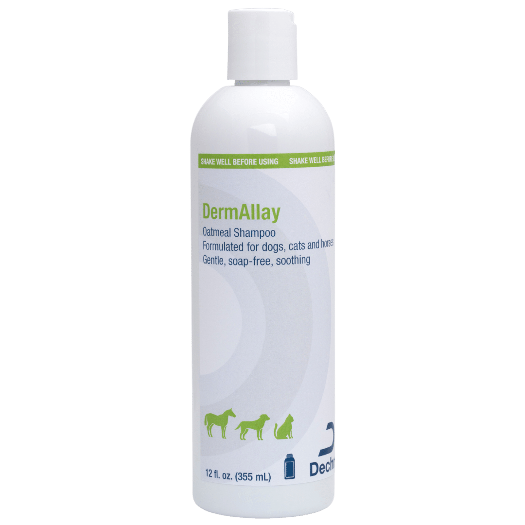 DermAllay oatmeal shampoo 355ml