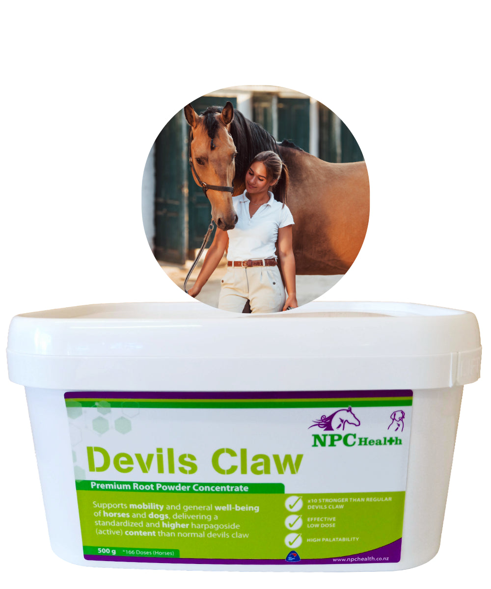 NPC Health High Strength Devils Claw