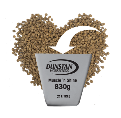 Dunstan Muscle &