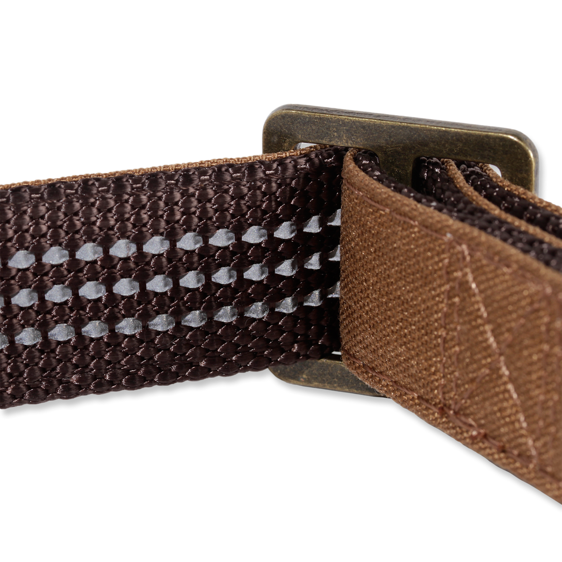 Carhartt Journeyman Dog Collar in Carhartt Brown