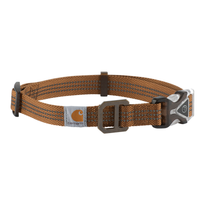 Carhartt Lighted Dog Collar in Carhartt Brown