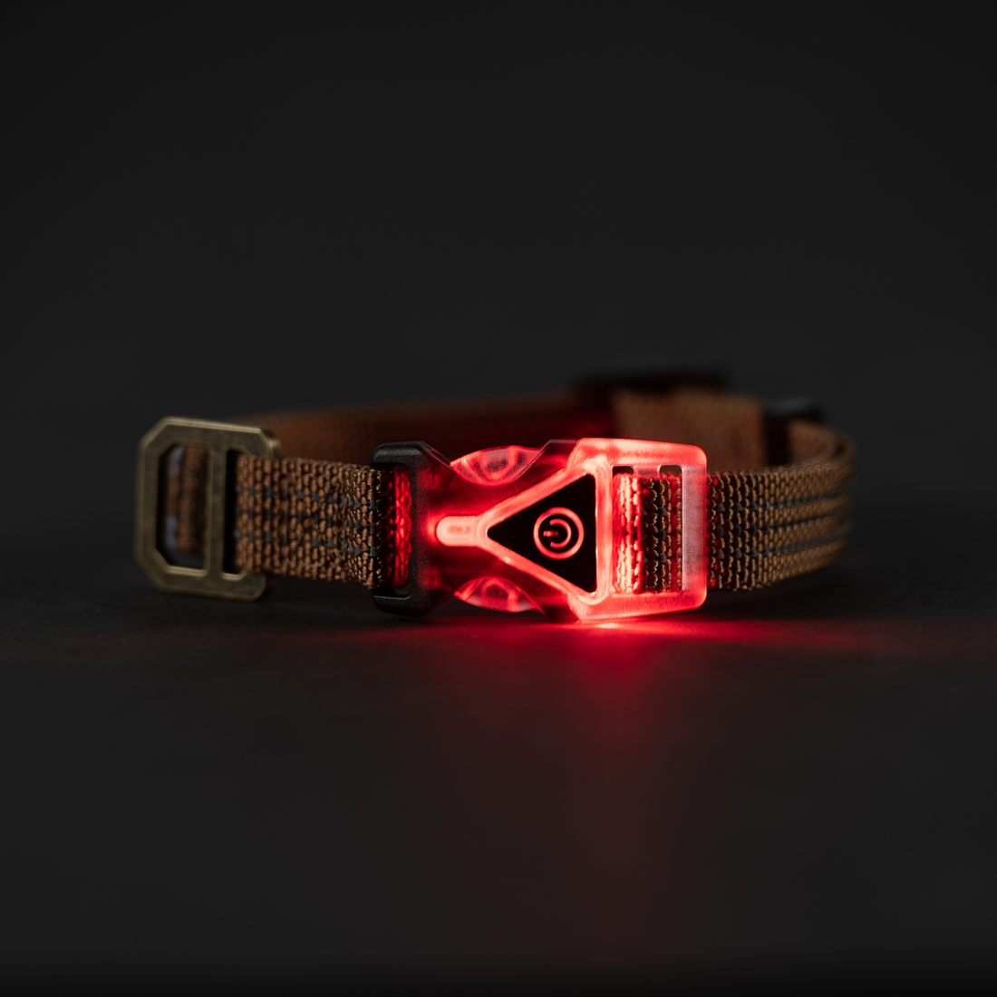Carhartt Lighted Dog Collar in Carhartt Brown