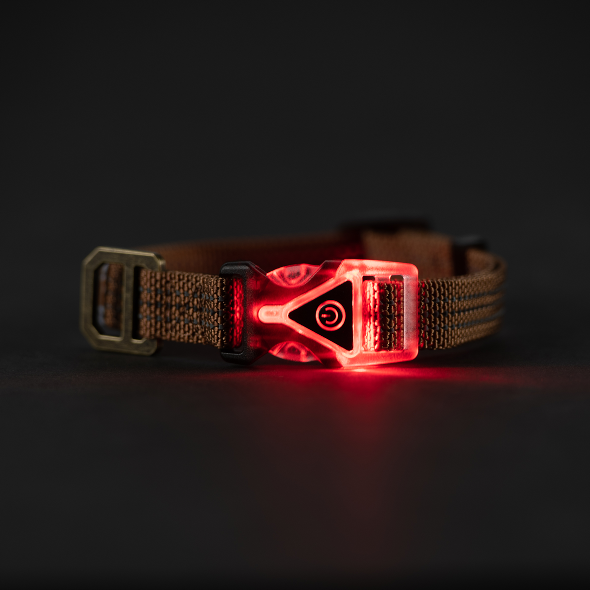 Carhartt Lighted Dog Collar in Carhartt Brown
