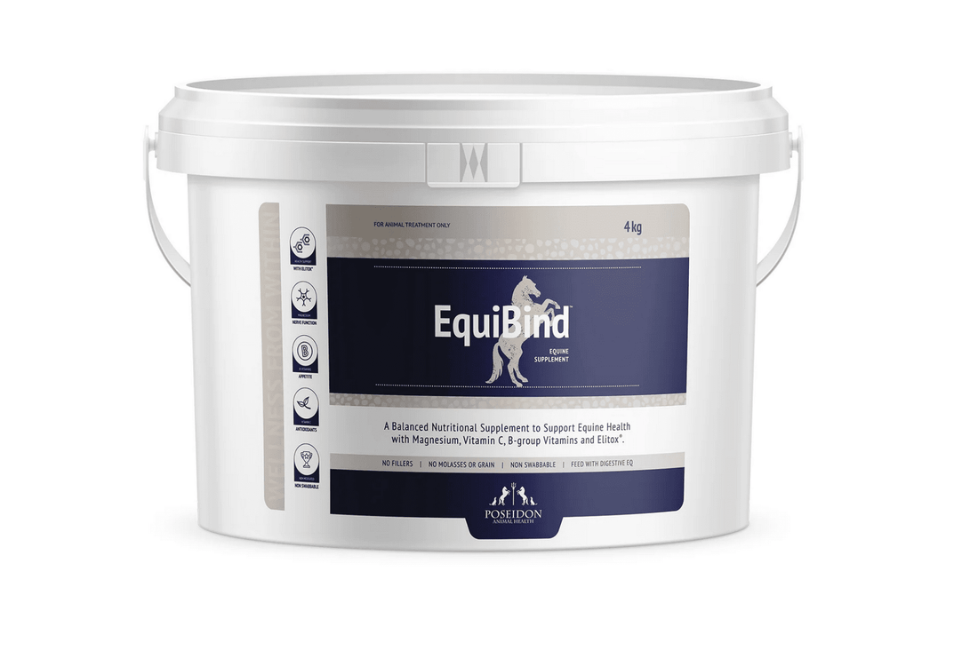 EquiBind
