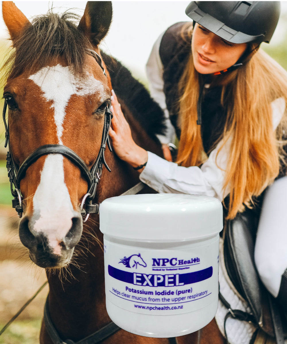 NPC Health Expel Equine Respiratory Support