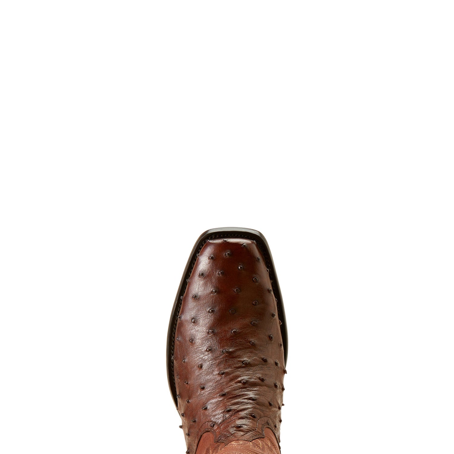 Ariat Men&