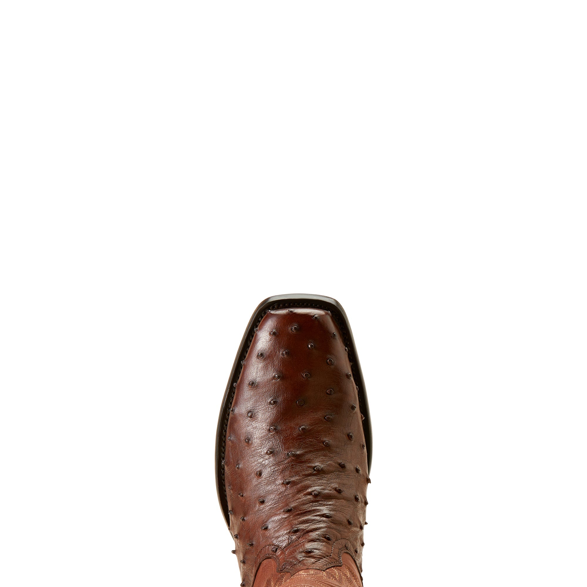 Ariat Men&