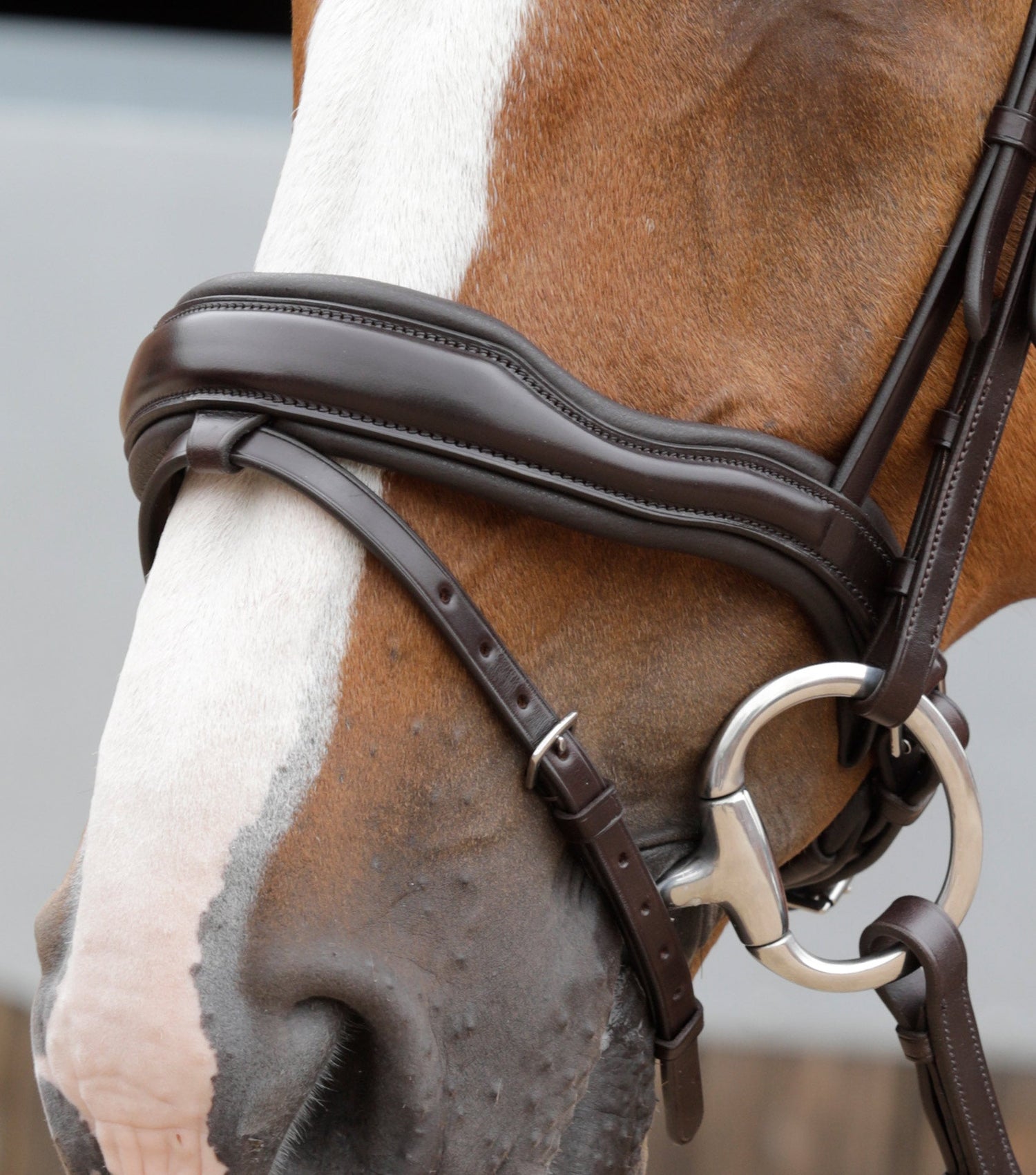 Premier Equine Favoloso Anatomic Bridle with Crank Noseband