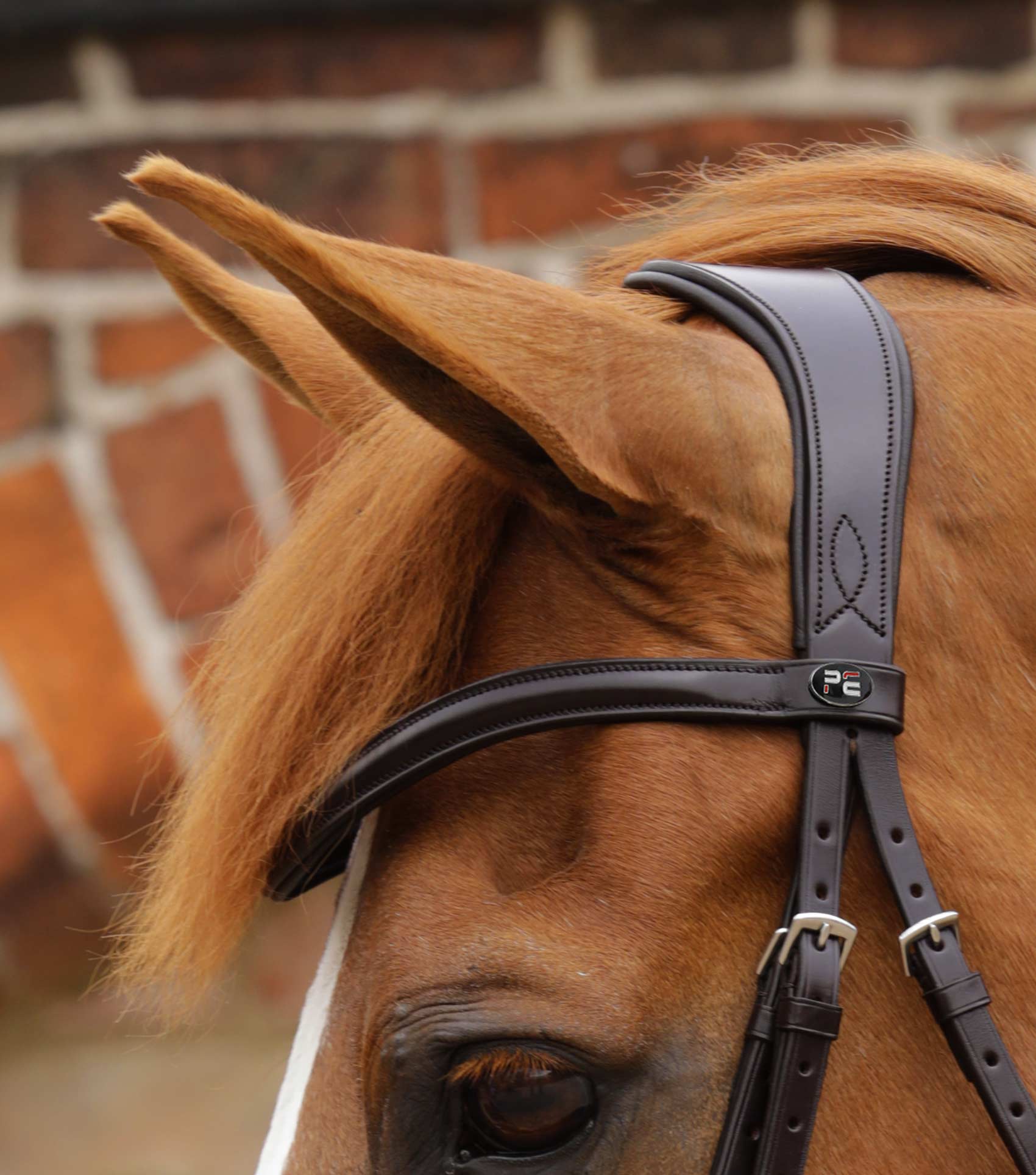 Premier Equine Favoloso Anatomic Bridle with Crank Noseband