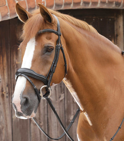 Description:Favoloso Anatomic Bridle with Crank Noseband_Colour:Black_Position:1