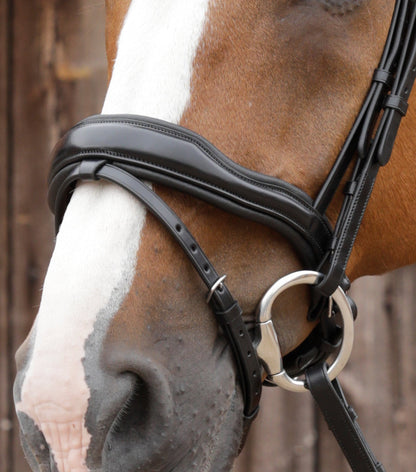 Premier Equine Favoloso Anatomic Bridle with Crank Noseband