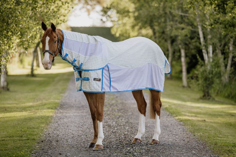 Flair Cotton Breezer Mesh Combo