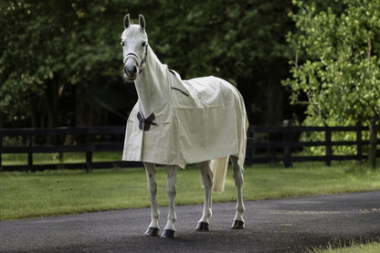 Flair Summer Cotton Rug