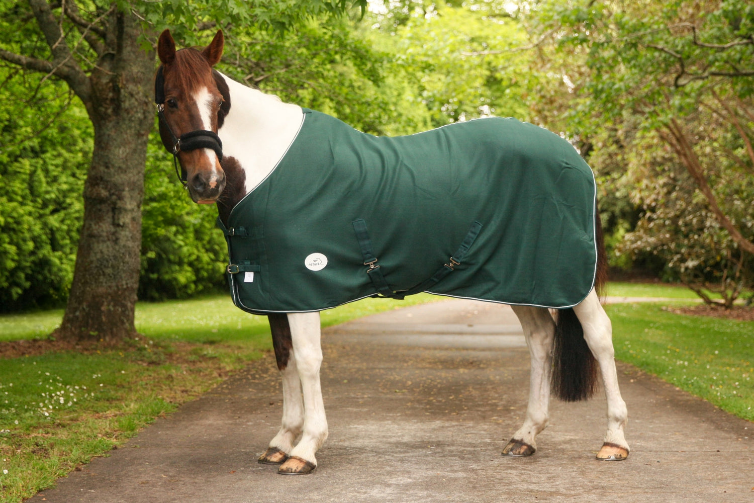 NZ Tack Fleece Show Rug Cooler