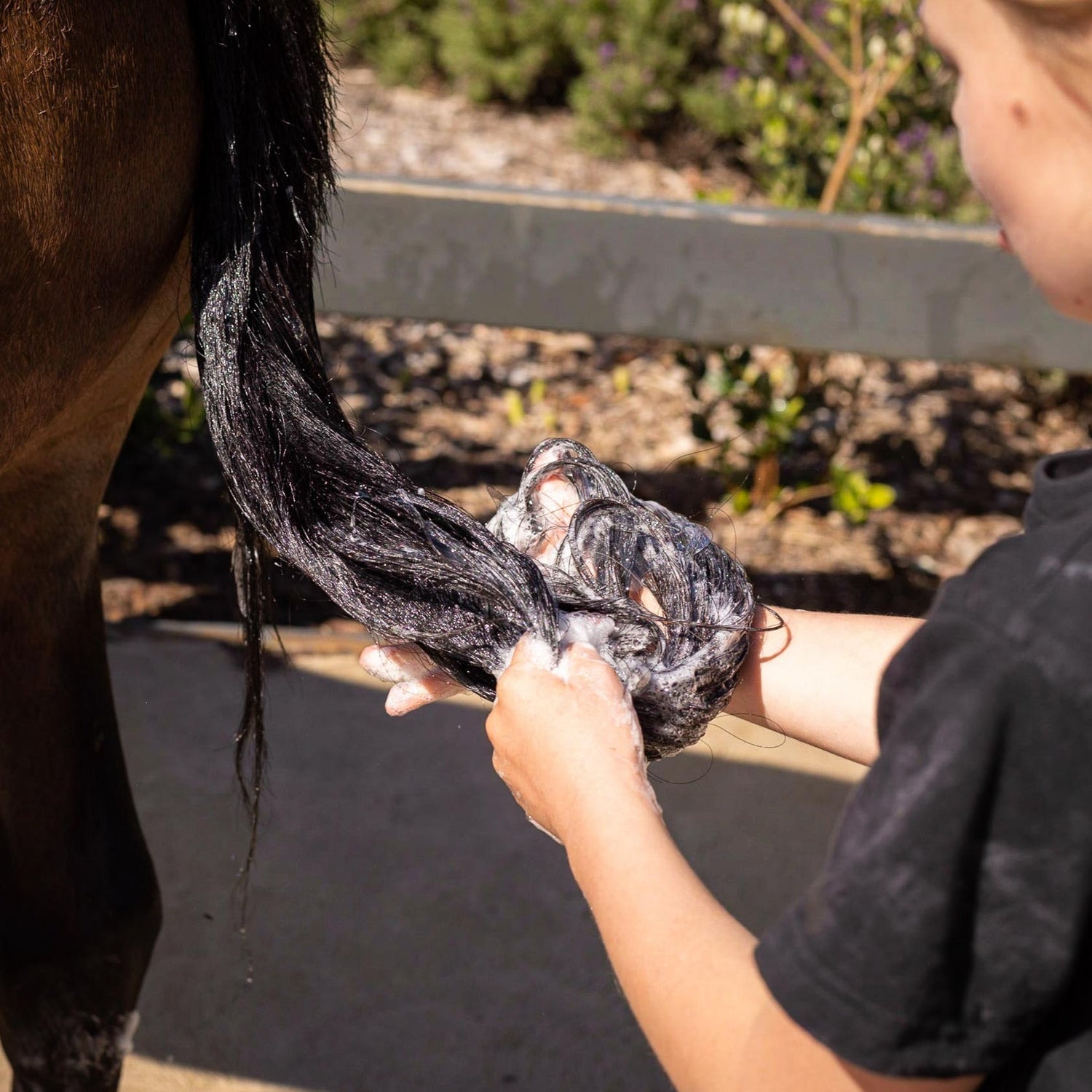 Hairy Pony Natural Horse Shampoo