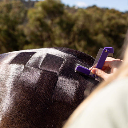 Hairy Pony Quarter Mark Horse Comb