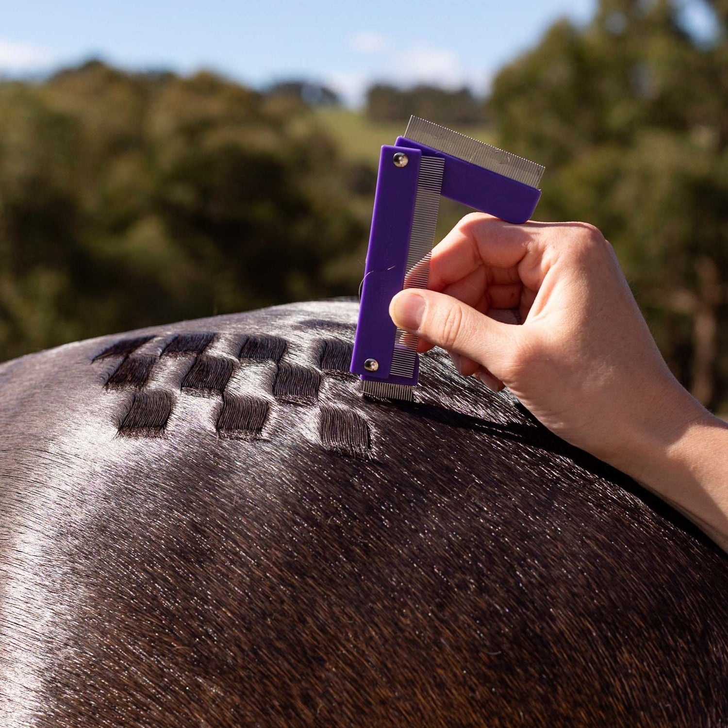 Hairy Pony Quarter Mark Horse Comb