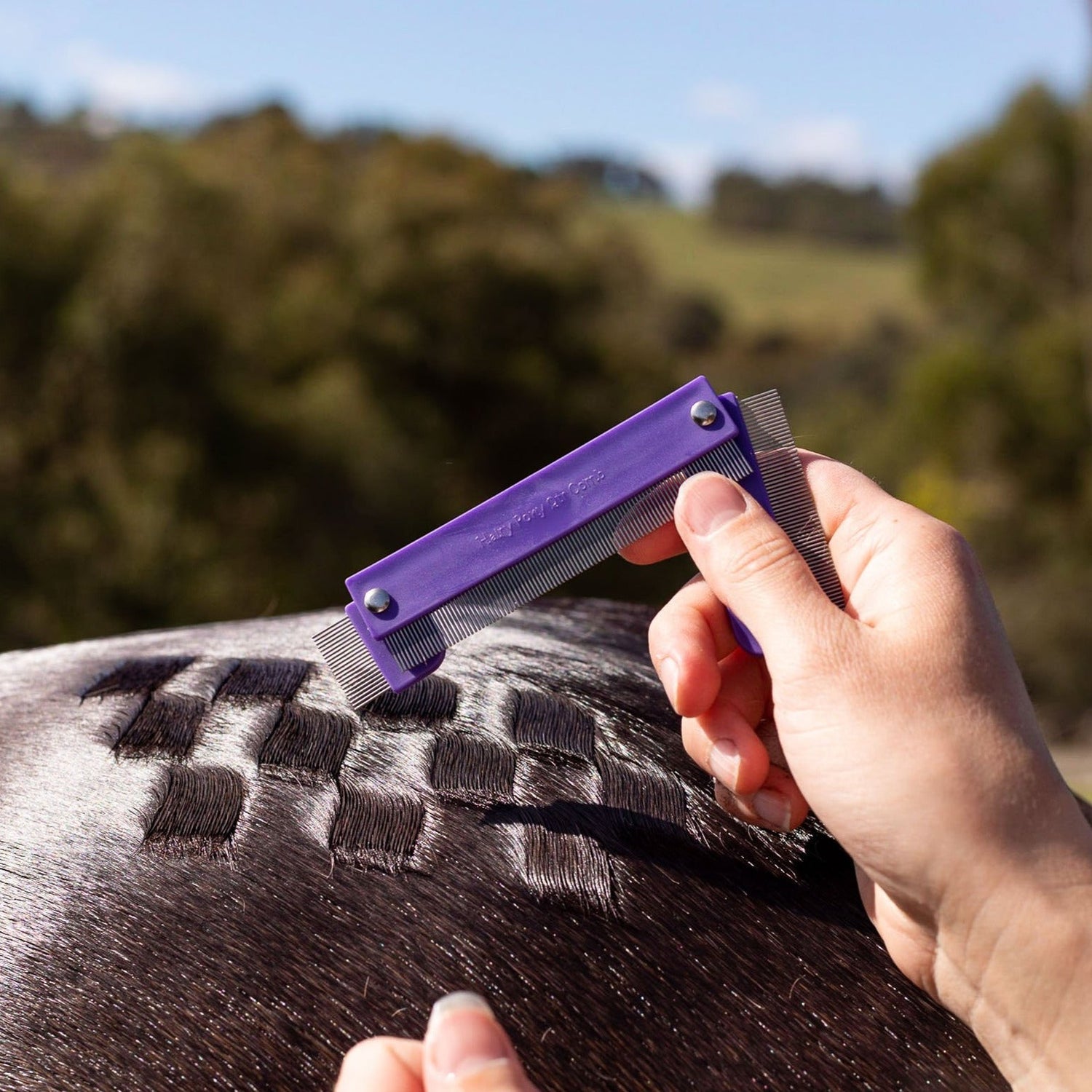 Hairy Pony Quarter Mark Horse Comb