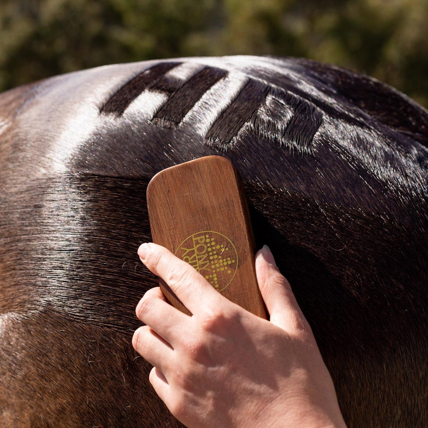 Hairy Pony Quarter Mark Horse Brush