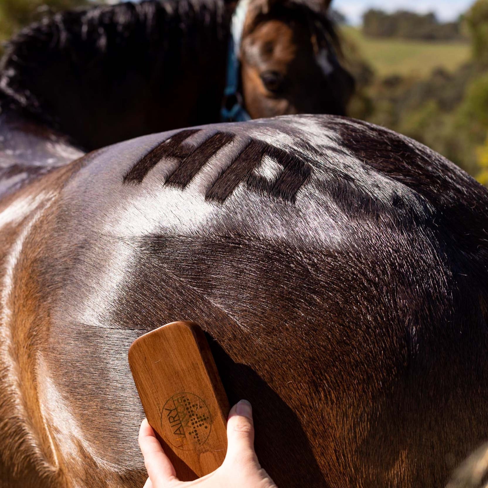 Hairy Pony Quarter Mark Horse Brush