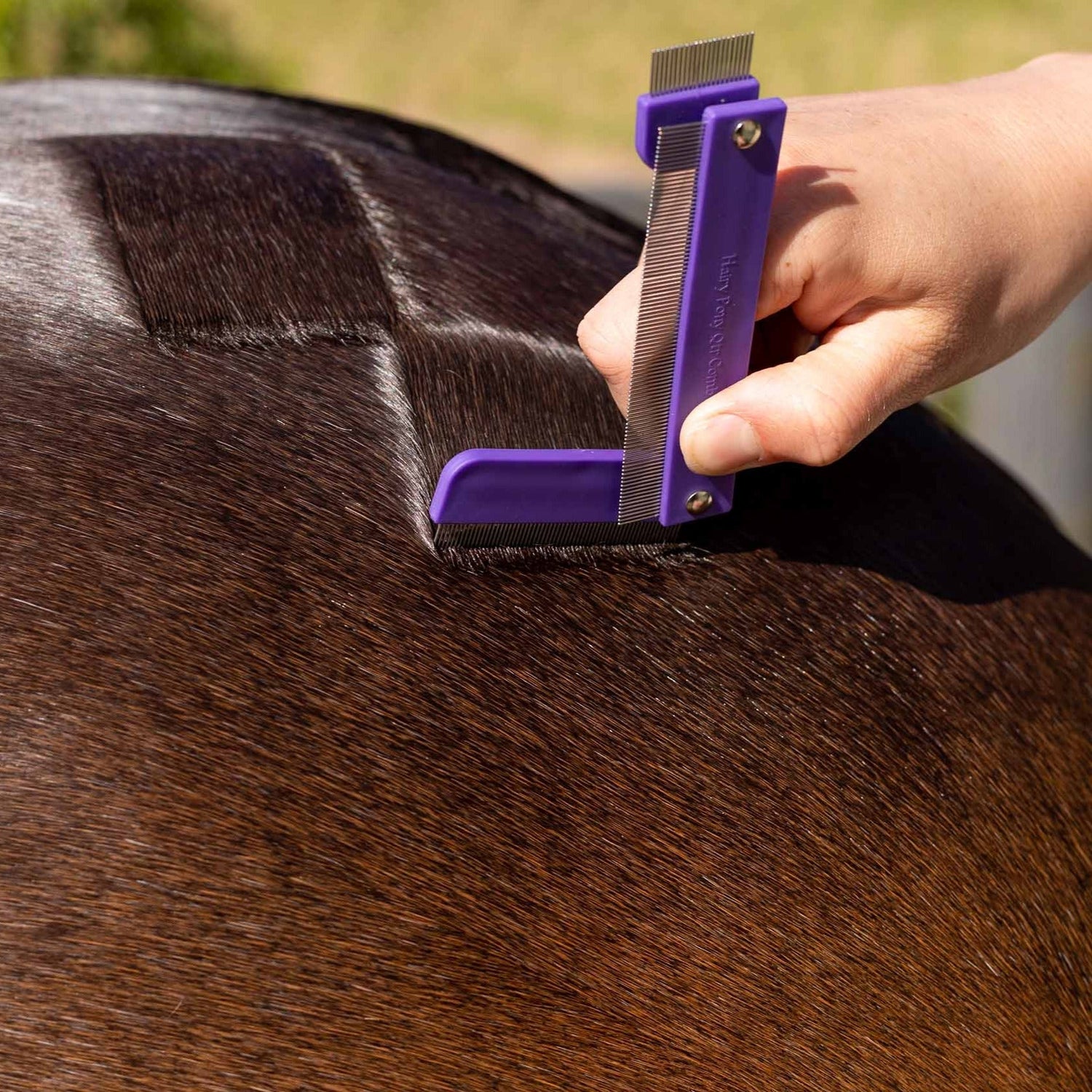 Hairy Pony Quarter Mark Horse Comb