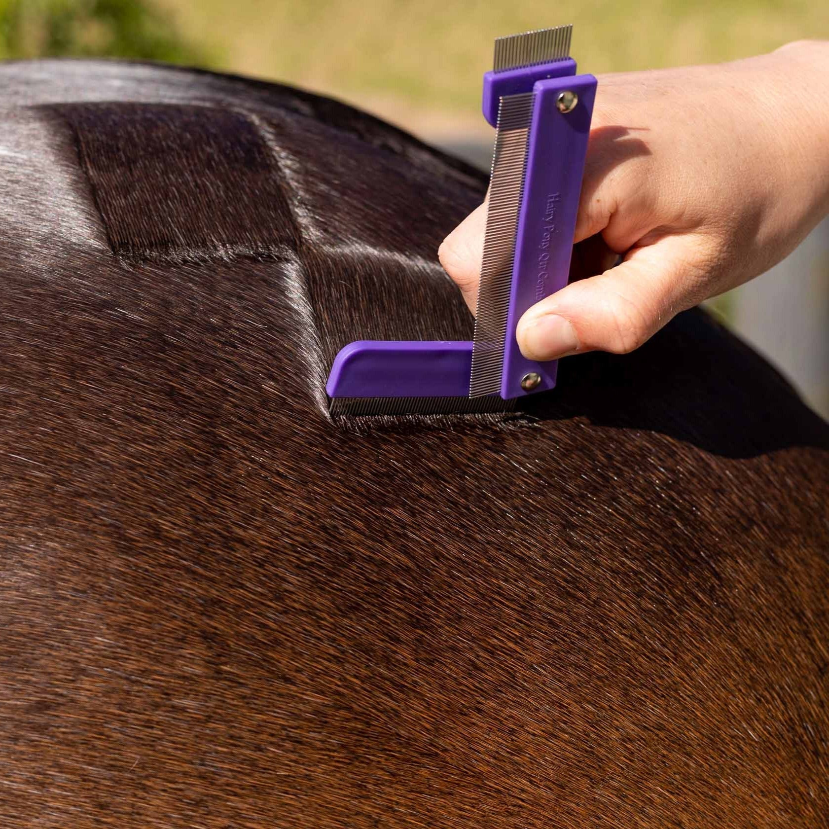 Hairy Pony Quarter Mark Horse Comb