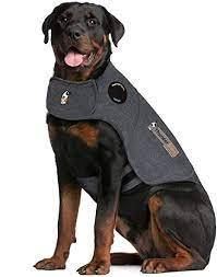 Thundershirt calming coat for dogs, large