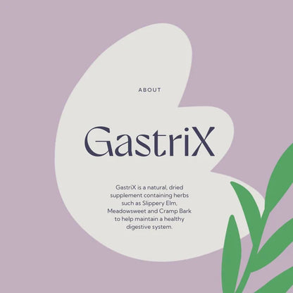 Hilton Herbs Gastri X 1kg