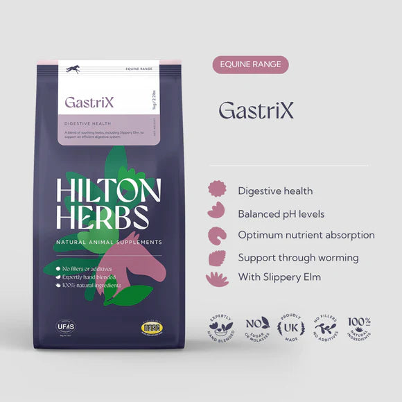 Hilton Herbs Gastri X 1kg
